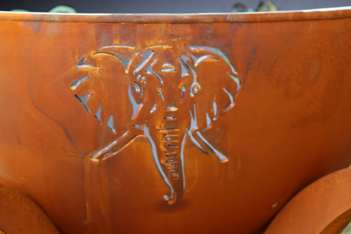 Fire Pit Art-Africa's Big 5